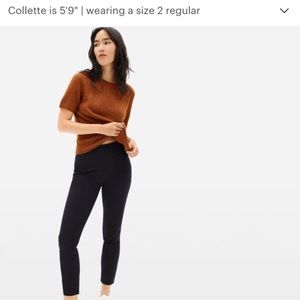 Everlane Side Zip Work Pants Black New NWT Size 10